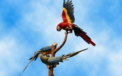 Entradas Loro Parque Tenerife, el espectacular zoo de Canarias en España