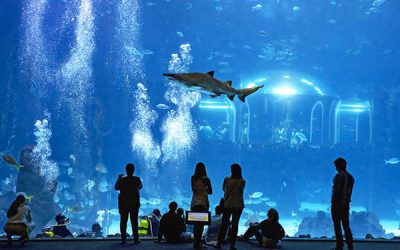 Visitar Poema del Mar Aquarium en Las Palmas de Gran Canaria en España