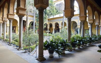 Visitar el Palacio de las Dueñas en Sevilla en España